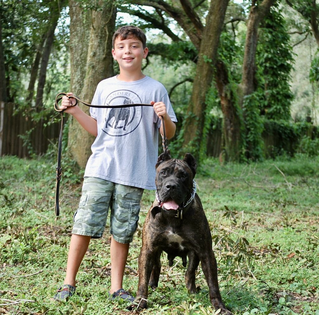 Presa Canario Breeder