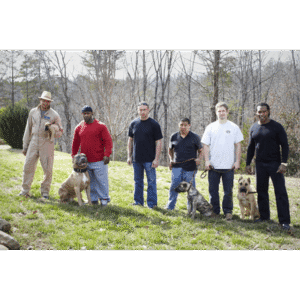 Noah Sanders, Presa Canario, Presa Canario Breeder, Presa Canario Puppy, Presa Canarios Puppies For Sale, Protection Dog Training, Sanders Kennels