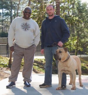 Noah Sanders, Presa Canario, Presa Canario Breeder, Presa Canario Puppy, Presa Canarios Puppies For Sale, Protection Dog Training, Sanders Kennels