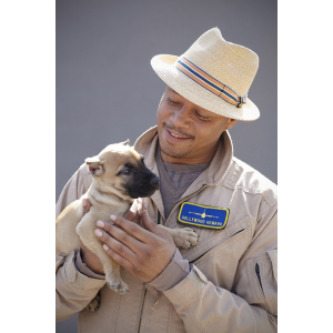 Noah Sanders, Presa Canario, Presa Canario Breeder, Presa Canario Puppy, Presa Canarios Puppies For Sale, Protection Dog Training, Sanders Kennels