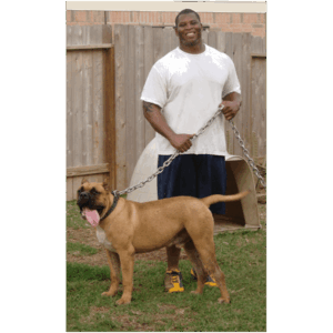 Noah Sanders, Presa Canario, Presa Canario Breeder, Presa Canario Puppy, Presa Canarios Puppies For Sale, Protection Dog Training, Sanders Kennels
