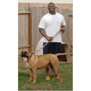 Noah Sanders, Presa Canario, Presa Canario Breeder, Presa Canario Puppy, Presa Canarios Puppies For Sale, Protection Dog Training, Sanders Kennels