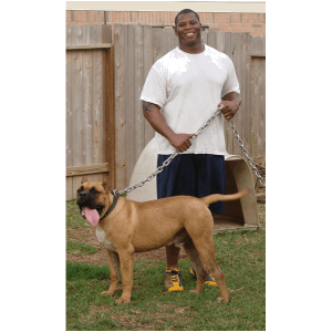 Noah Sanders, Presa Canario, Presa Canario Breeder, Presa Canario Puppy, Presa Canarios Puppies For Sale, Protection Dog Training, Sanders Kennels