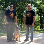 Noah Sanders, Presa Canario, Presa Canario Breeder, Presa Canario Puppy, Presa Canarios Puppies For Sale, Protection Dog Training, Sanders Kennels