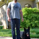 Noah Sanders, Presa Canario, Presa Canario Breeder, Presa Canario Puppy, Presa Canarios Puppies For Sale, Protection Dog Training, Sanders Kennels