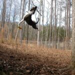 Noah Sanders, Presa Canario, Presa Canario Breeder, Presa Canario Puppy, Presa Canarios Puppies For Sale, Protection Dog Training, Sanders Kennels