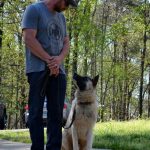 Noah Sanders, Presa Canario, Presa Canario Breeder, Presa Canario Puppy, Presa Canarios Puppies For Sale, Protection Dog Training, Sanders Kennels