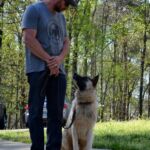 Noah Sanders, Presa Canario, Presa Canario Breeder, Presa Canario Puppy, Presa Canarios Puppies For Sale, Protection Dog Training, Sanders Kennels