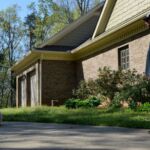 Noah Sanders, Presa Canario, Presa Canario Breeder, Presa Canario Puppy, Presa Canarios Puppies For Sale, Protection Dog Training, Sanders Kennels