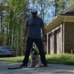 Noah Sanders, Presa Canario, Presa Canario Breeder, Presa Canario Puppy, Presa Canarios Puppies For Sale, Protection Dog Training, Sanders Kennels