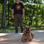 Noah Sanders, Presa Canario, Presa Canario Breeder, Presa Canario Puppy, Presa Canarios Puppies For Sale, Protection Dog Training, Sanders Kennels