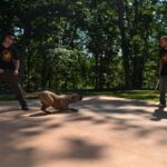 Noah Sanders, Presa Canario, Presa Canario Breeder, Presa Canario Puppy, Presa Canarios Puppies For Sale, Protection Dog Training, Sanders Kennels